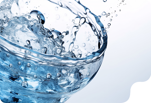 内蔵炭酸水ディスペンサー: バイヤーズガイド